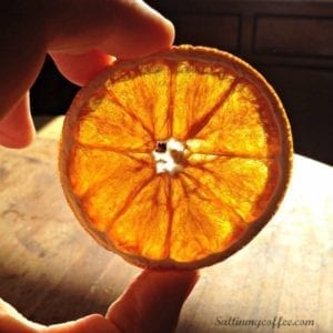 how-to-dehydrate-citrus-for-garlands