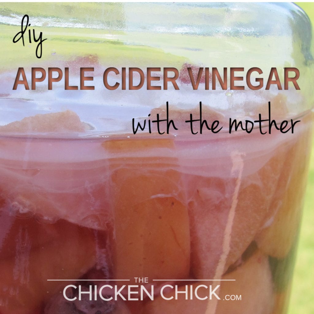 Apple Cider Vinegar ACV With The Mother The Chicken Chick Blog 