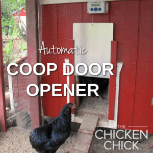 Automatic Coop door opener | The Chicken Chick®