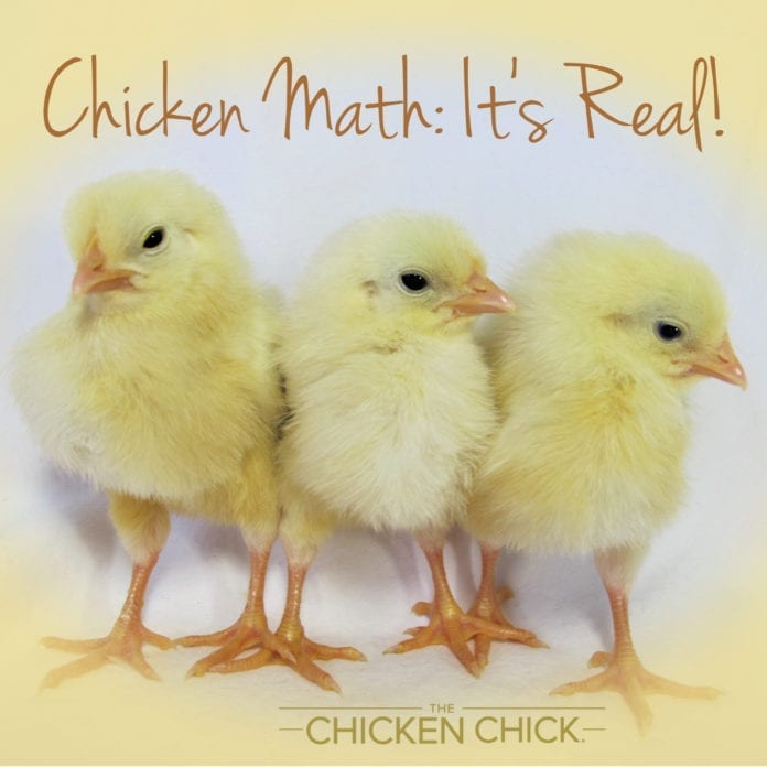 chicken math imag