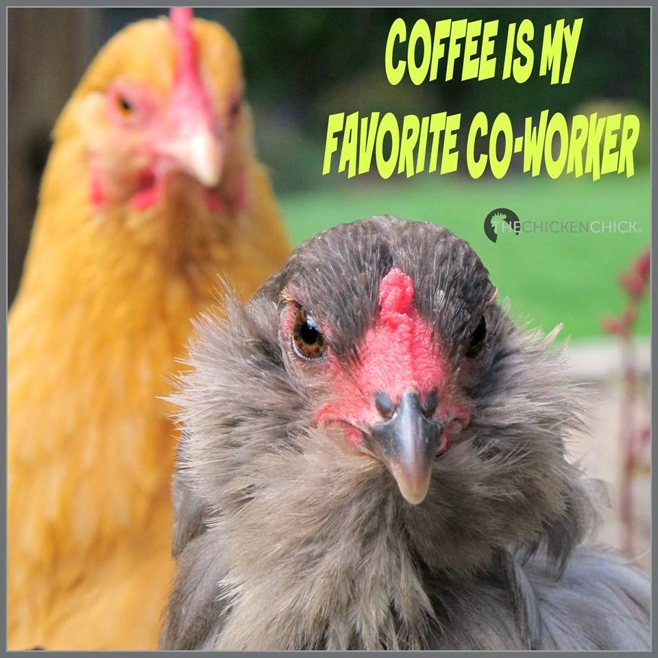 Coffee is my favorite coworker
