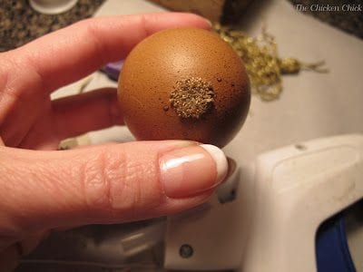 DIY Blown Egg Nativity Scene 2