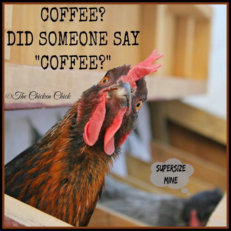 Did someone say coffee