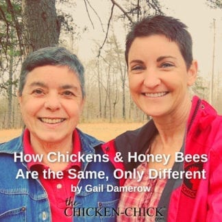 Gail Damerow How Chickens & Honey bees are the same, only different