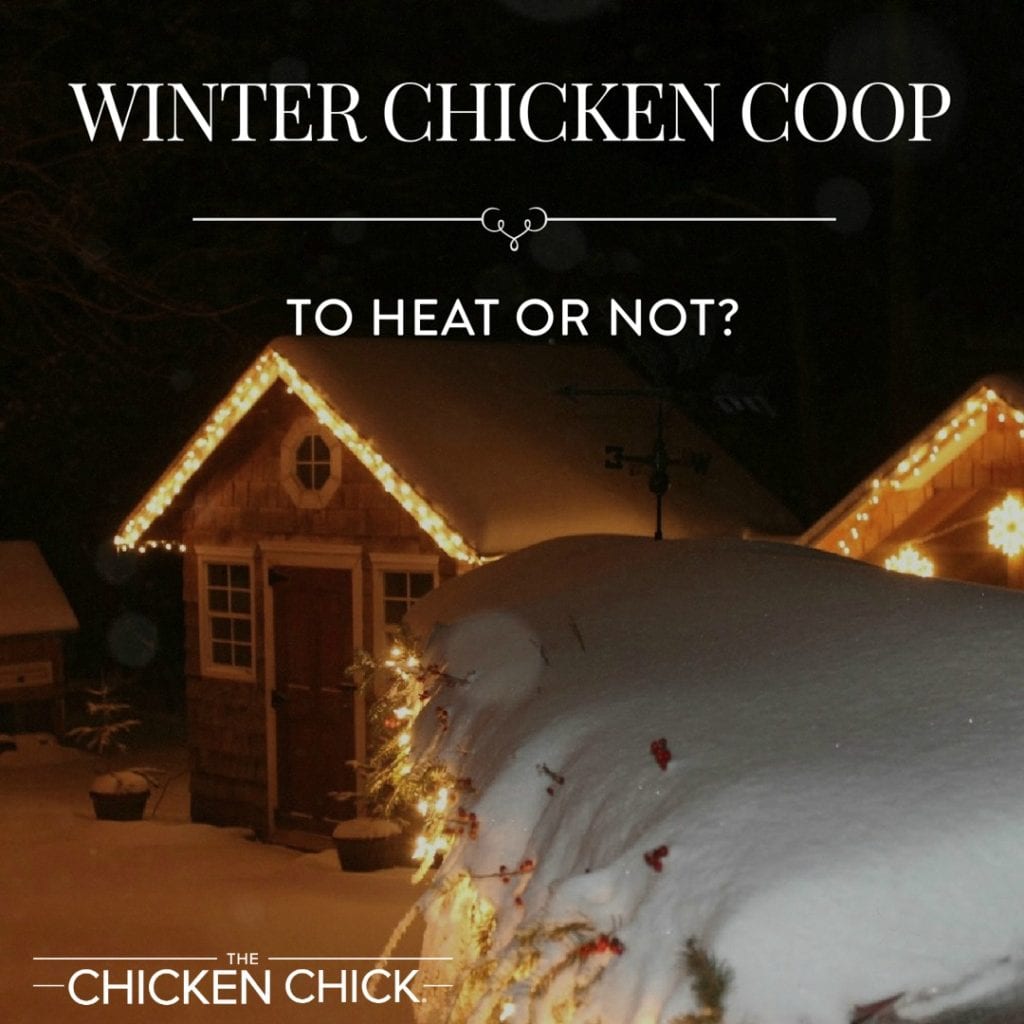 Infrared heater online for chicken coop