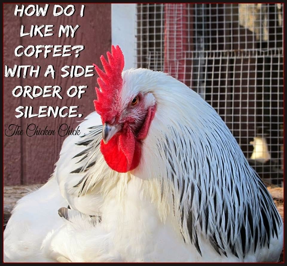 How do I like me coffee with a side order of silence