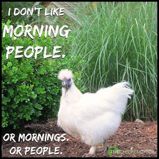 I dont like morning people