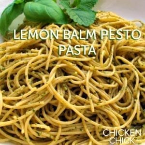 Lemon Balm Pesto Pasta