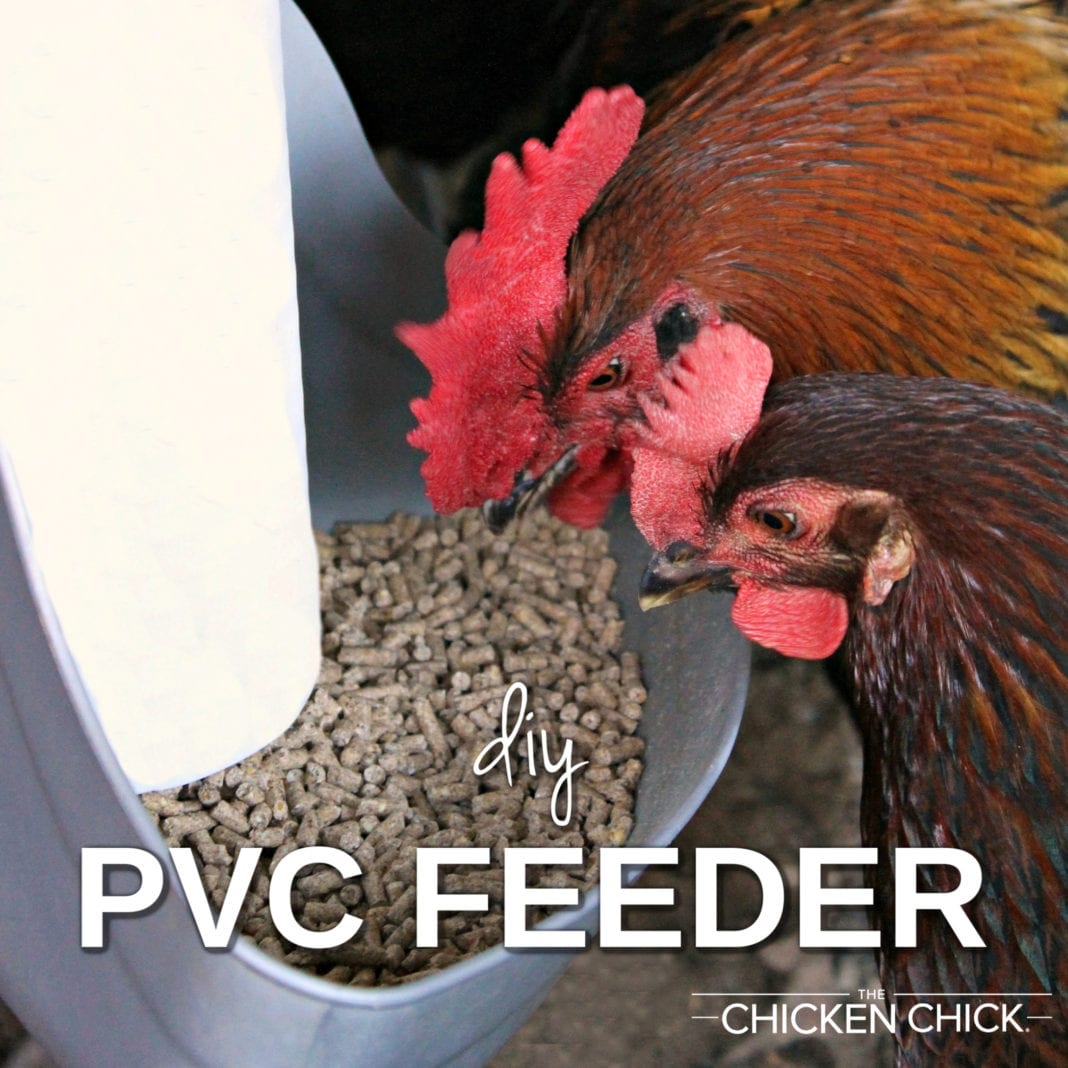 pvc chicken feeder t