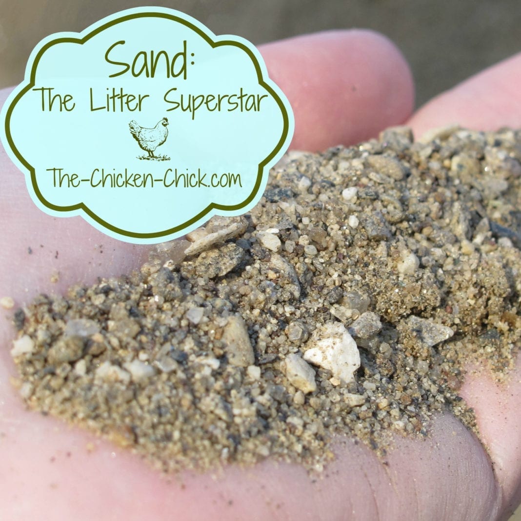 Chicken Coop Litter Sand, the Litter Superstar The Chicken Chick®