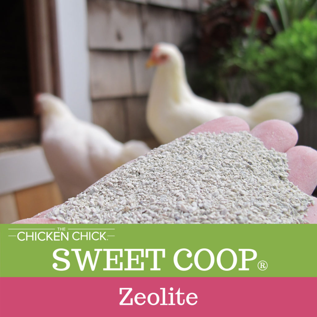 Naturally Sweeter Coops & Healthier Chickens with Zeolite