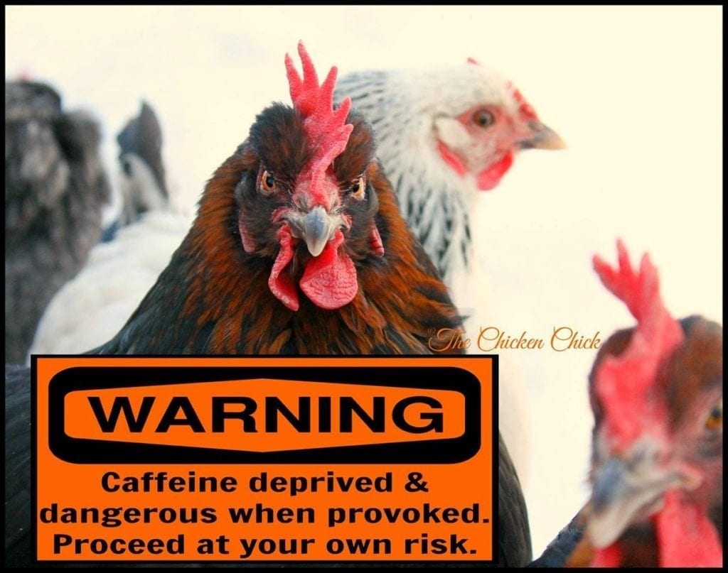 Warning caffeine deprived and dangerous when provoked proceed at your own risk