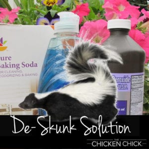 De-Skunk Solution | The Chicken Chick®