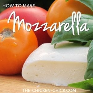 How to make mozzarella