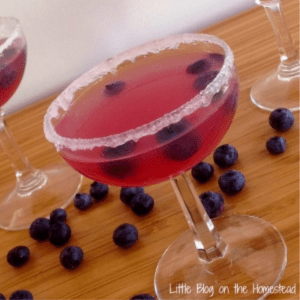Blueberry Rum Punch, shared by Little Blog on The Homestead