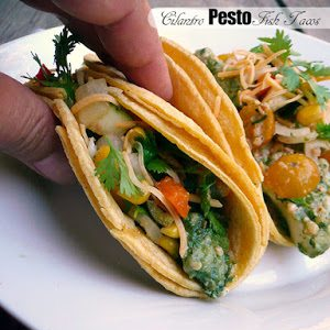 Cilantro Pesto Fish Tacos with Zucchini Corn Salsa, shared by Sumptuous Spoonfuls