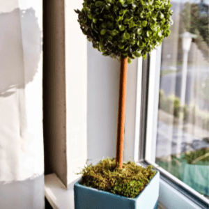 DIY Topiary, shared by Pudel Design
