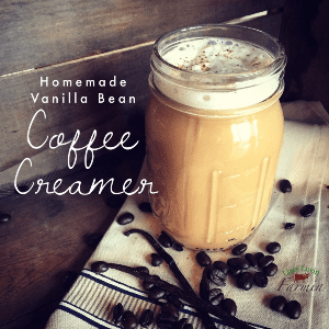 Homemade Vanilla Coffee Creamer, shared by Livin, Lovin, Farmin