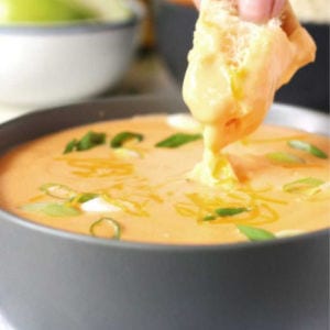 Hot Beer Cheese Dip, shared by Honey & Birch