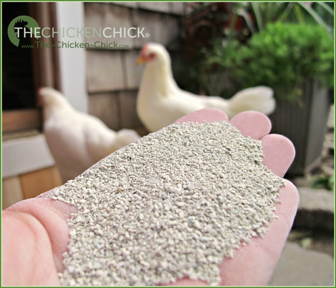 Chicken Coop Litter Sand, the Litter Superstar The Chicken Chick®