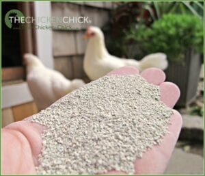 The Chicken Chick's Sweet Coop®