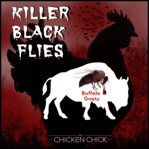 Buffalo Gnats Killer Black Flies & Backyard Chickens