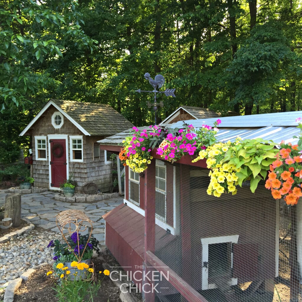 Chicken Coops | The Chicken Chick® Chicken Coops | The Chicken Chick®