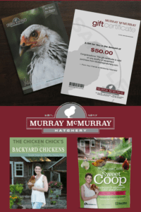 Murray McMurray Hatchery Prize Package Giveaway at The Chicken Chick®