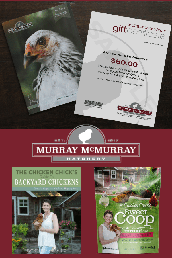Murray McMurray Hatchery Prize Package Giveaway at The Chicken Chick®