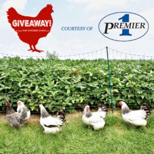 Premier 1 PoultryPlus® portable electric fencing Giveaway | The Chicken Chick®