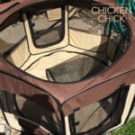 Ultimate Chick Brooder Setup VIDEO | The Chicken Chick®