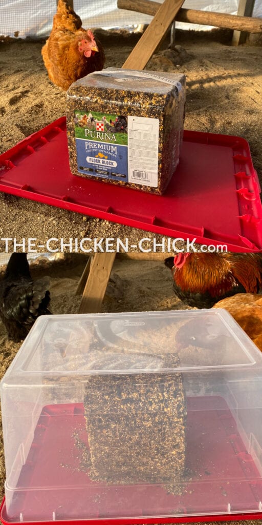 Flock Block in a Plastic Container