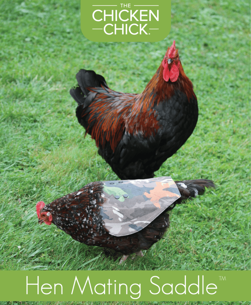 The Chicken Chick's Hen Mating Saddle