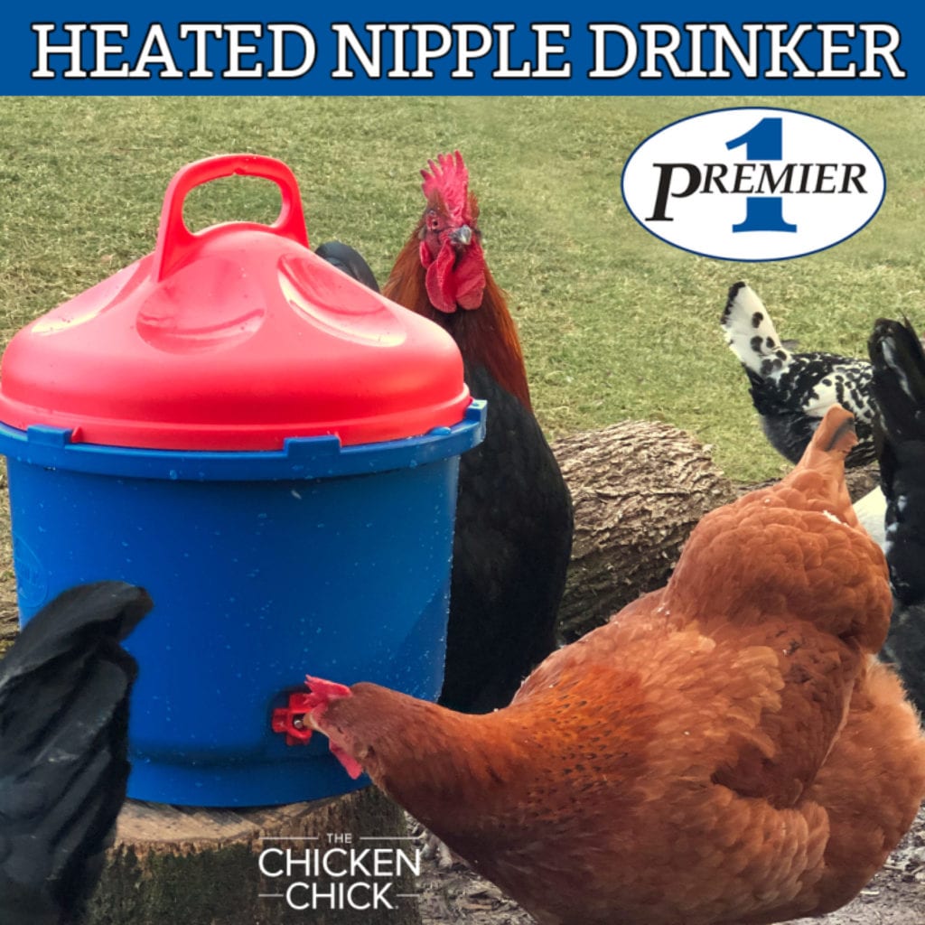 Premier-1-Poultry-Nipple-Drinker-heated-2020-scaled.jpg