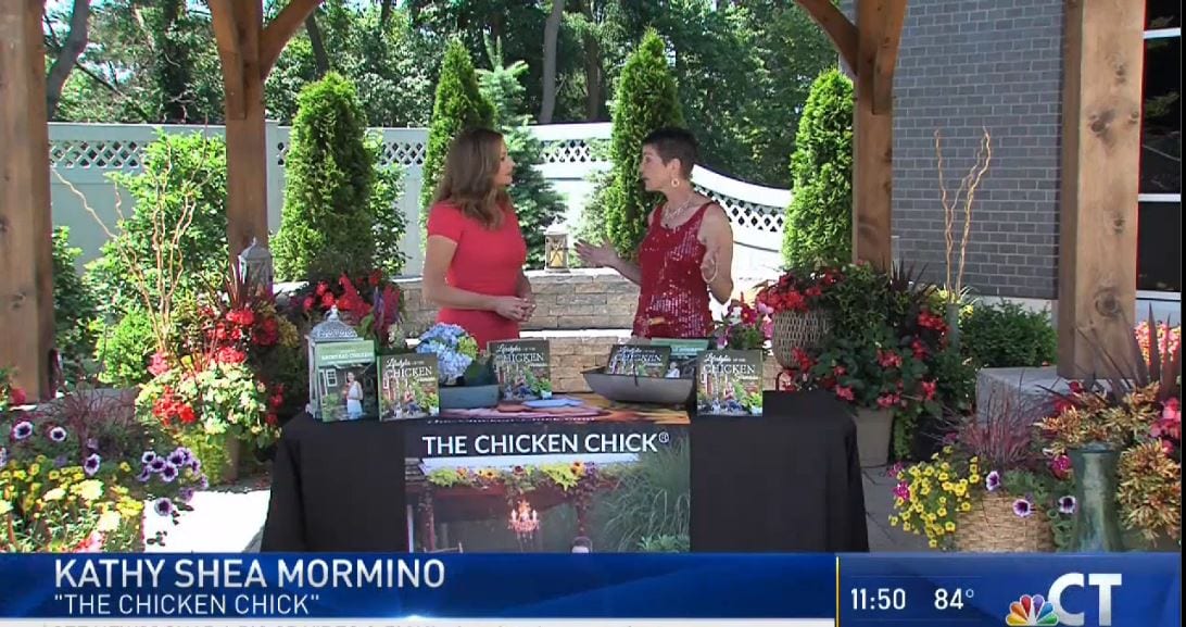 kathy shea mormino, the chicken chick© as seen on NBC CT KLM