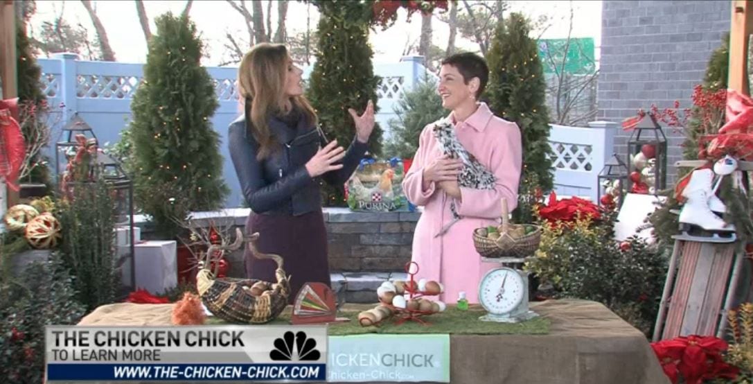 kathy shea mormino, the chicken chick© as seen on NBC CT KLM