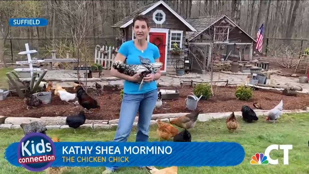 kathy shea mormino, the chicken chick© as seen on NBC CT KidsConnection