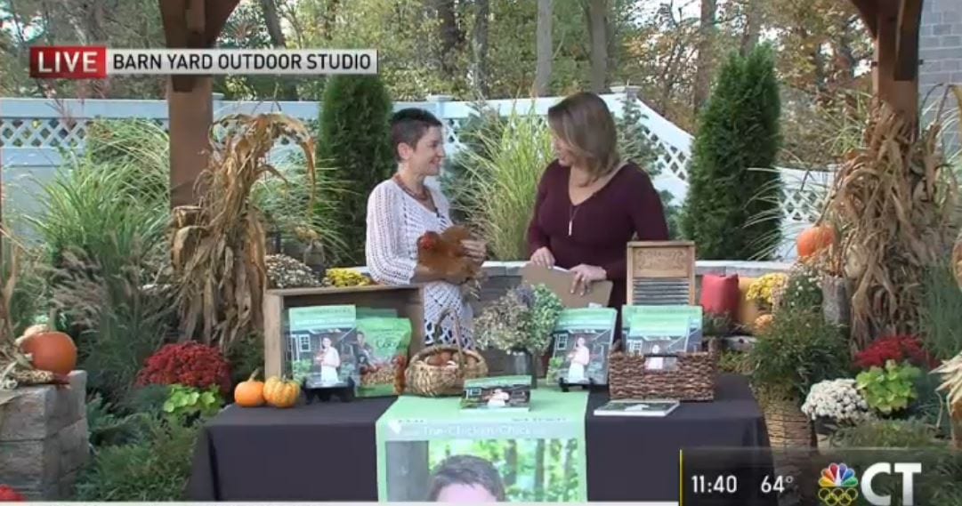 kathy shea mormino, the chicken chick© as seen on NBC CT KLM