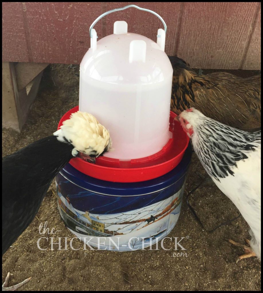 Make a Cookie Tin Waterer Heater. Under $10, & 10 minutes!