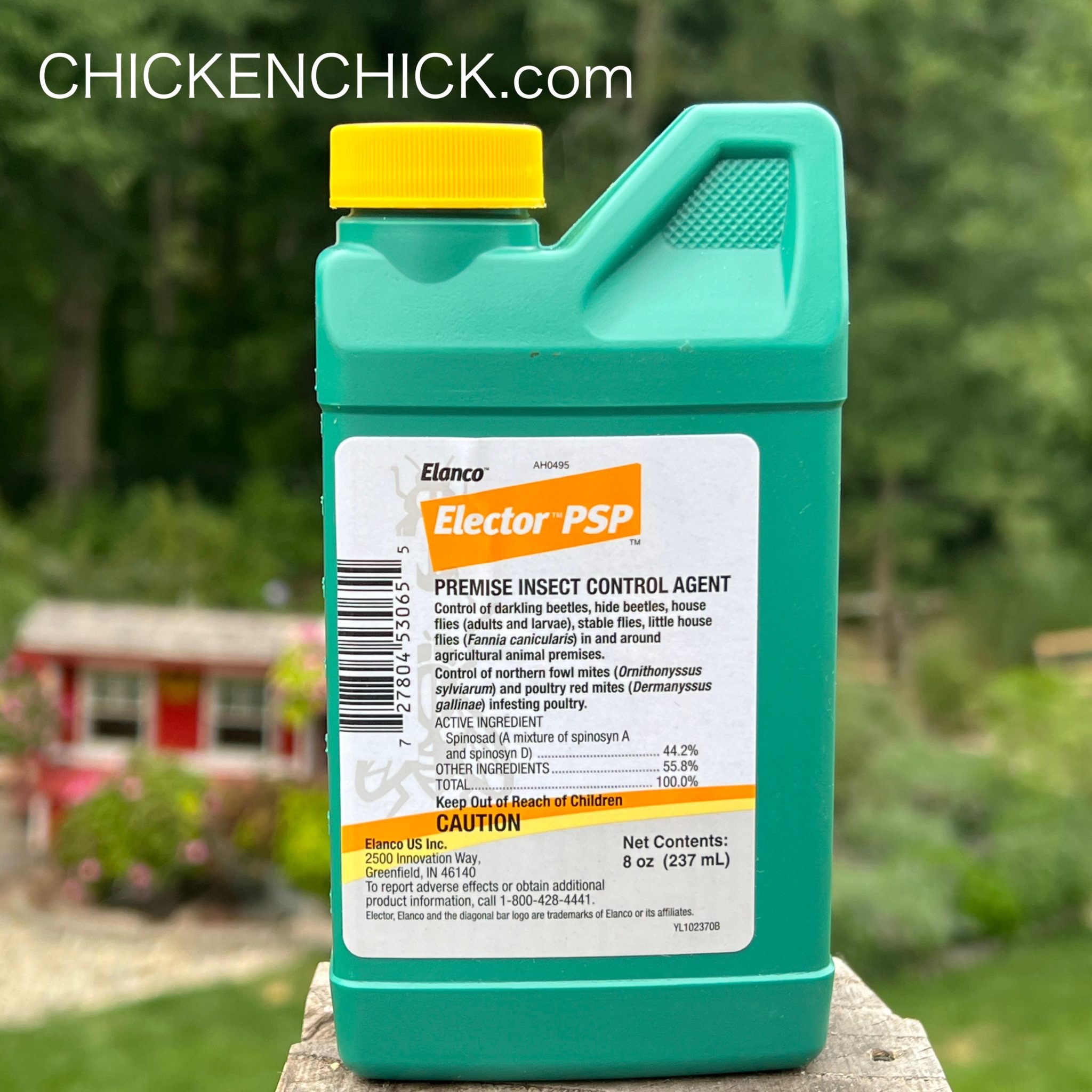 I Got Chicken Lice! (And You Might Too) - slo6zz0