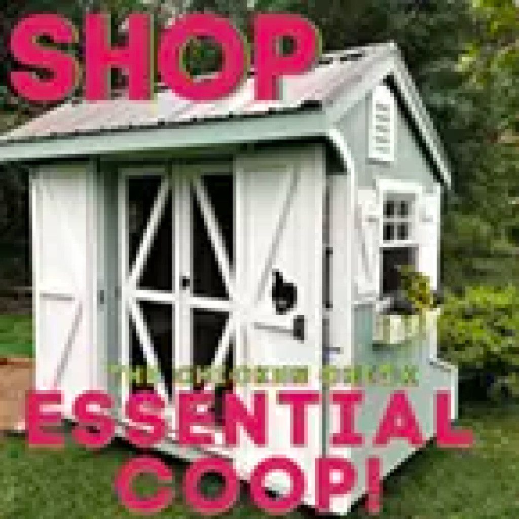 essential coop ad