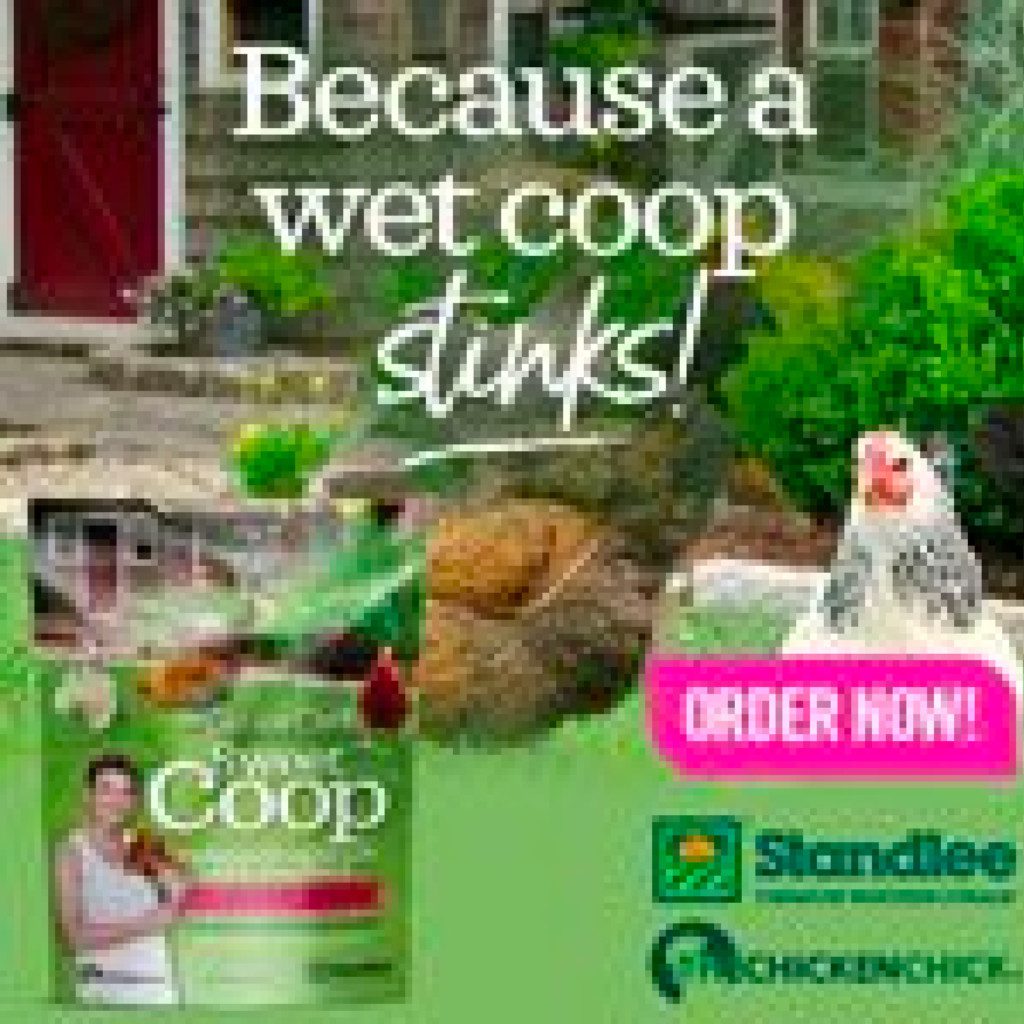 sweet coop ad